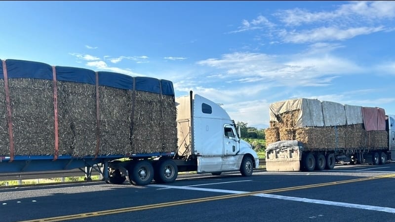 Dos plataformas cargadas y cubiertas circulando por una carretera nacional.